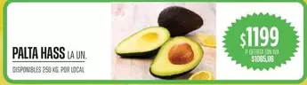 PALTA HASS