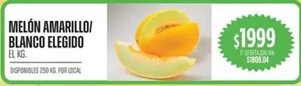 Elegido - MELÓN AMARILLO/ BLANCO ELEGIDO