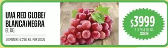 UVA RED GLOBE/ BLANCA/NEGRA