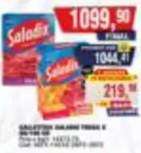 GALLETITAS SALADIX TODAS X 100-106 GR