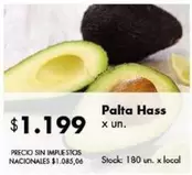X$ - Palta Hass