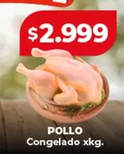 POLLO