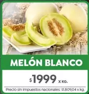 X$ - MELÓN BLANCO