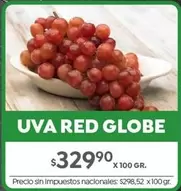 UVA RED GLOBE