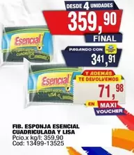 Esencial - ESPONJA CUADRICULADA Y LISA