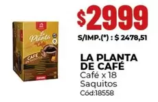 La planta - DE CAFÉ