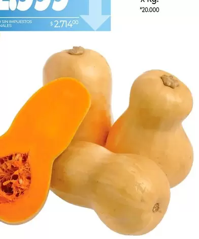 X$ - Zapallo Anco x kg