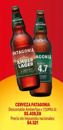 Patagonia - Amber/ipa x 730Mlx It