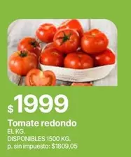Redondo - Tomate redondo