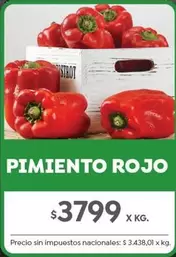 Rojo - PIMIENTO ROJO