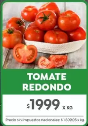 Redondo - TOMATE REDONDO