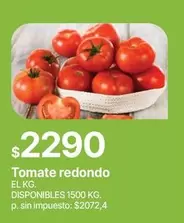 Redondo - Tomate redondo