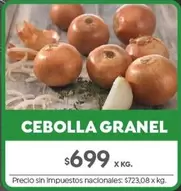 X$ - CEBOLLA GRANEL