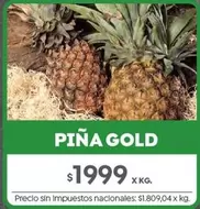 X$ - PIÑA GOLD