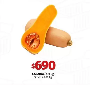 X$ - CALABACÍN x kg.
