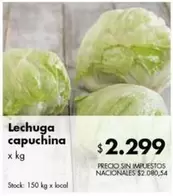 X$ - Lechuga capuchina