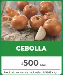 X$ - CEBOLLA