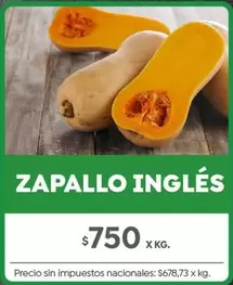 X$ - ZAPALLO INGLÉS