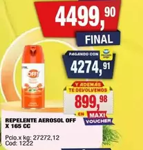 Off - REPENTE AEROSOL OFF X 165 CC