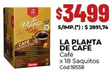 La planta de Café - Café x 18 Saquitos Cód:18558