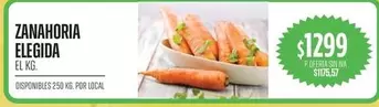 ZANAHORIA ELEGIDA