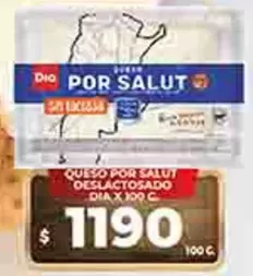 Dia - QUESO POR SALUT DESLACTOSADO DIA