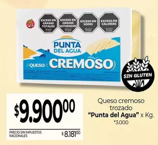 Punta del Agua - Queso Cremoso