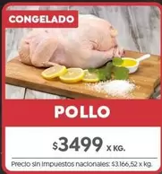 X$ - POLLO
