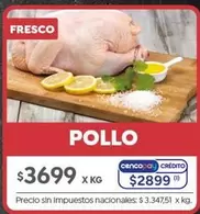X$ - POLLO