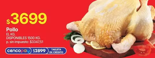 Pollo