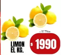 Limon
