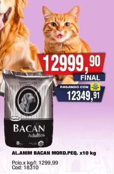 Bacan - AL.ANIM BACAN MORD.PEQ. x10 kg