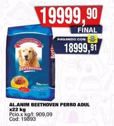 Beethoven - AL.ANIM PERRO ADUL