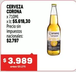 Corona - CERVEZA