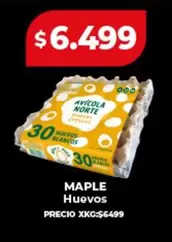 Norte - Huevos Blancos