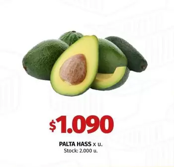 X$ - PALTA HASS