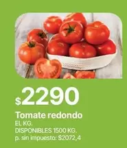 Redondo - Tomate redondo