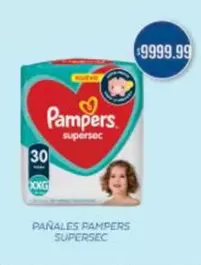 Pampers - Pañales