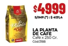 La planta de Café - Café x 250 Gr. Cód:3188