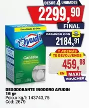 Ayudin - Desodorante Inodoro  16 gr