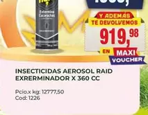 Raid - INSECTICIDAS AEROSOL EXERMINADOR X 360 CC