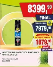 Raid - INSECTICIDAS AEROSOL MMM X 360 CC