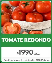 Redondo - TOMATE REDONDO