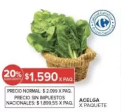 Carrefour - Acelga