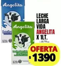 vida - LECHE LARGA VIDA