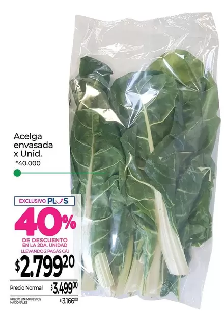 X$ - Acelga envasada