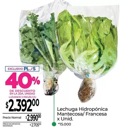 X$ - Lechuga Hidropónica Mantecosa/Francesa x Unid.