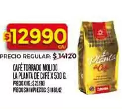 La planta - CAFÉ TORRADO MOLIDO