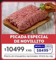 X$ - PICADA ESPECIAL DE NOVILLITO