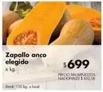 Elegido - Zapallo anco elegido